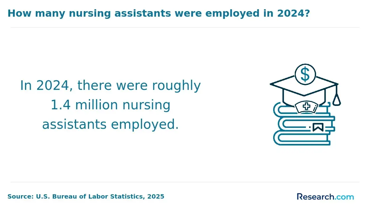 Nursing assistants in 2024