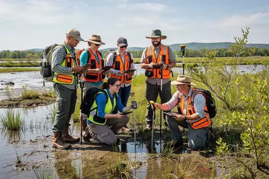 2026 Environmental Consultant Roles You Can Target With an Environmental Science Degree thumbnail
