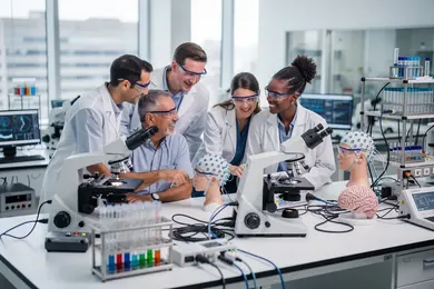 2026 Online Neuroscience Bachelor's Degree Programs With No Prerequisites thumbnail