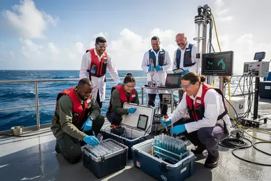2026 How Many Credits Can You Transfer Into an Oceanography Degree Program? thumbnail