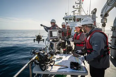 2027 Oceanography Career Hotspots: Cities With the Best Pay, Job Openings, and Growth thumbnail