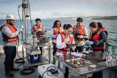 2026 Career Paths with a Marine Science Master's Degree Explained thumbnail