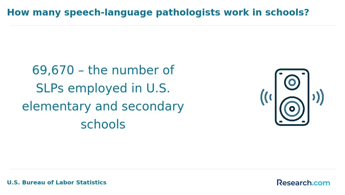 Speech-language pathologists working in schools