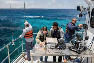2026 Top Universities Offering Online Marine Science Master's Degrees thumbnail