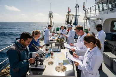 2026 Which Marine Science Degree Careers Have the Lowest Unemployment Risk? thumbnail