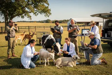 2027 Best Accredited Online Animal Science Degree Programs: Compare Tuition, Admissions, and Career Outcomes thumbnail
