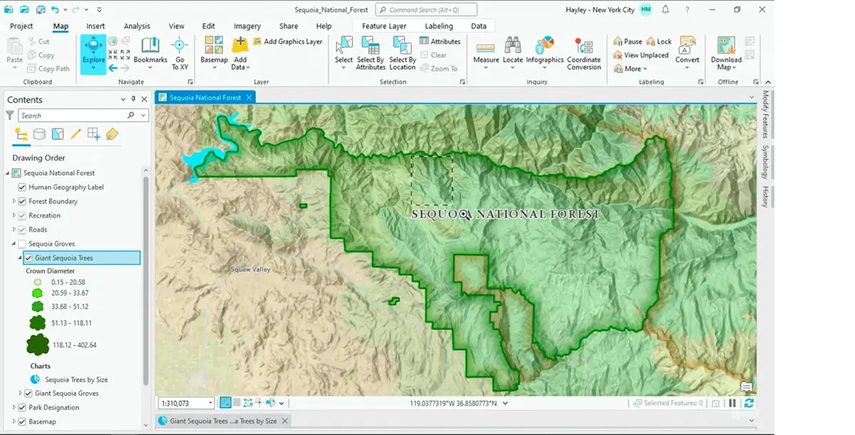 ArcGIS UI