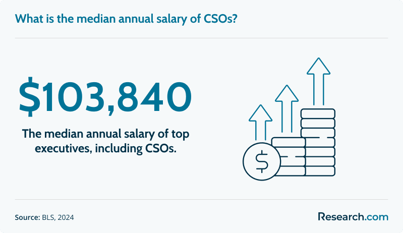 What is the median annual salary of CSOs?