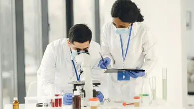 2026 Job Placement Rates for Chemistry Master's Graduates: Employment Outcomes thumbnail