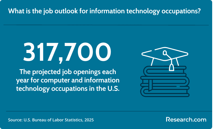 317,000 is the projected job openings each year for computer and information technology occupations in the U.S.