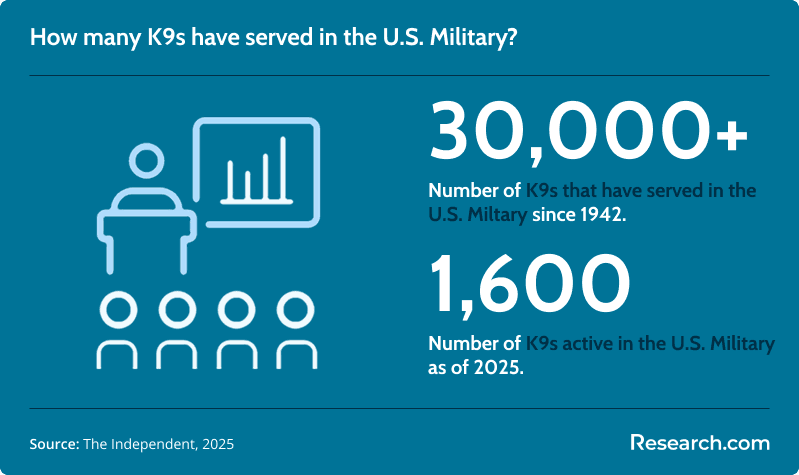 K9s in the US Military