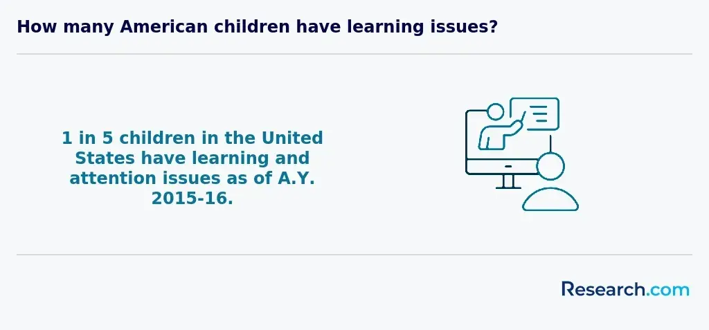 Learning issues in the US