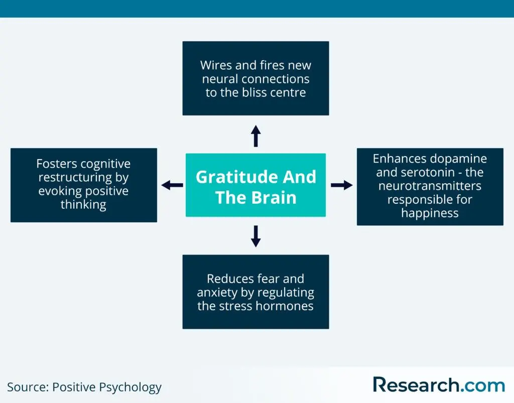 Gratitude and the brain
