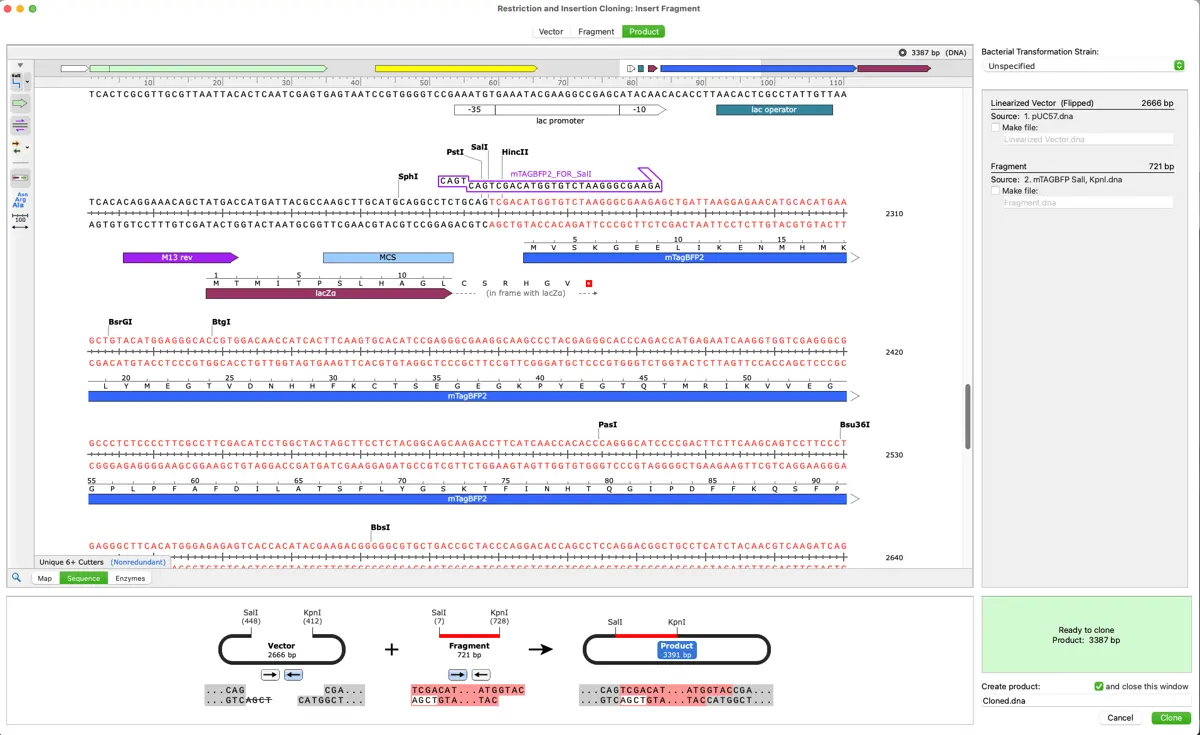 SnapGene UI