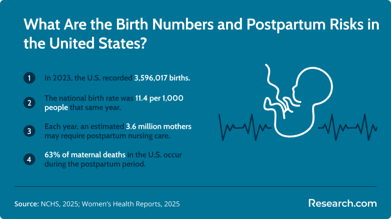 What Are the Birth Numbers and Postpartum Risks in the United States?