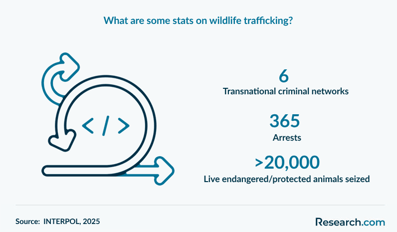 What are some stats on wildlife trafficking?
