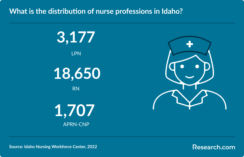 What is the distribution of nurse professions in Idaho?