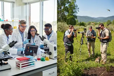2026 Online Biological Sciences Degrees With Strong Ecology Training thumbnail