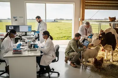 2026 How to Pay for an Animal Science Master's Degree with Financial Aid thumbnail