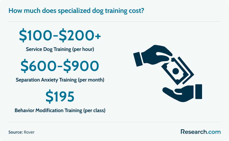 best online dog obedience training programs 2.png