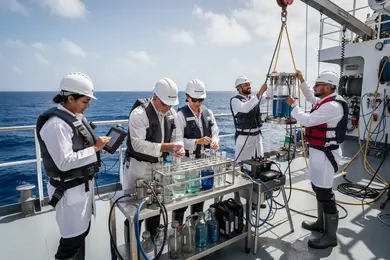 2026 Oceanography Degree Completion Time Report: How Long Students Actually Take to Graduate thumbnail