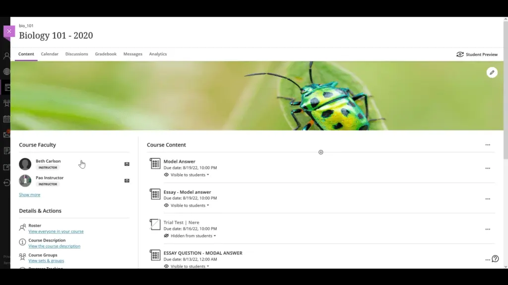 Blackboard Learn provides a comprehensive overview of course details.