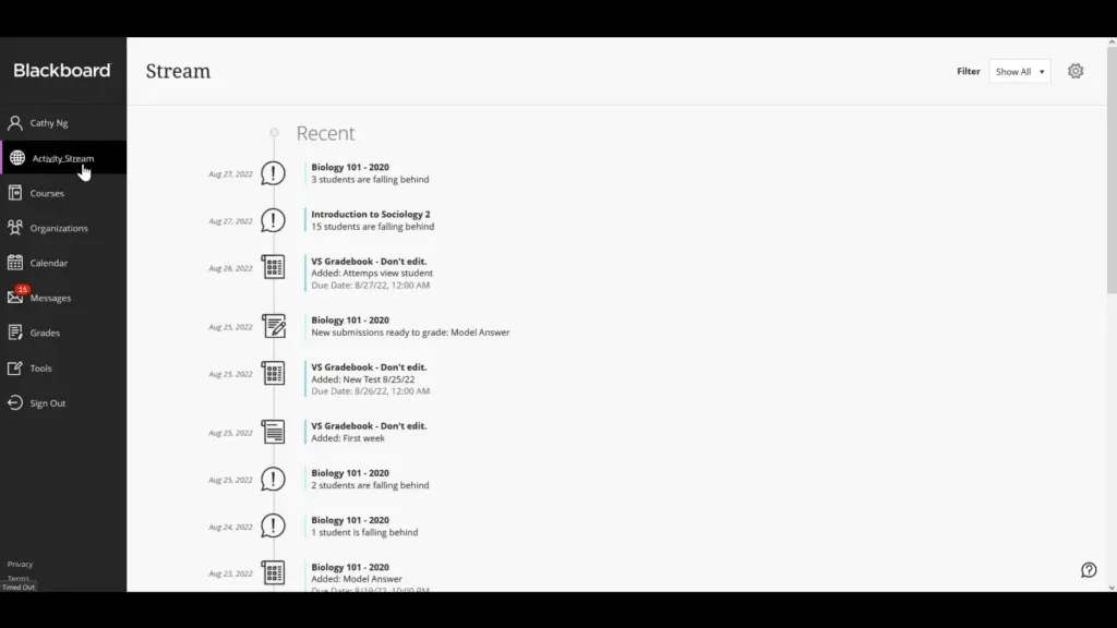 Blackboard Learn comes with an Activity Stream feature for easy progress tracking.