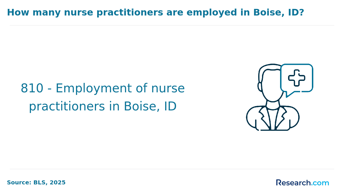 boise np employment