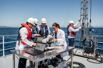2026 Highest-Paying Marine Science Master's Specializations Ranked thumbnail