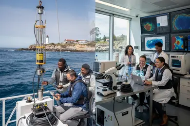 2026 Which Marine Science Degree Careers Offer the Best Work-Life Balance? thumbnail