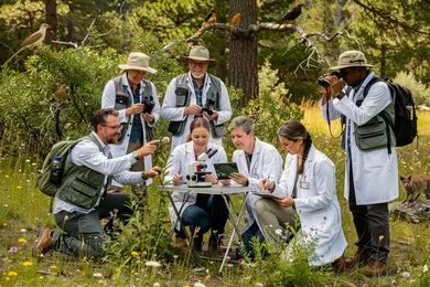 2026 Online Biological Sciences Degrees With Conservation Career Alignment thumbnail