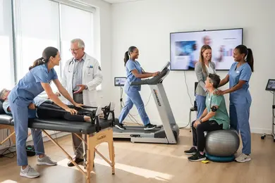 2026 Online Kinesiology Degrees With Practical Preparation for Graduate Health Programs thumbnail
