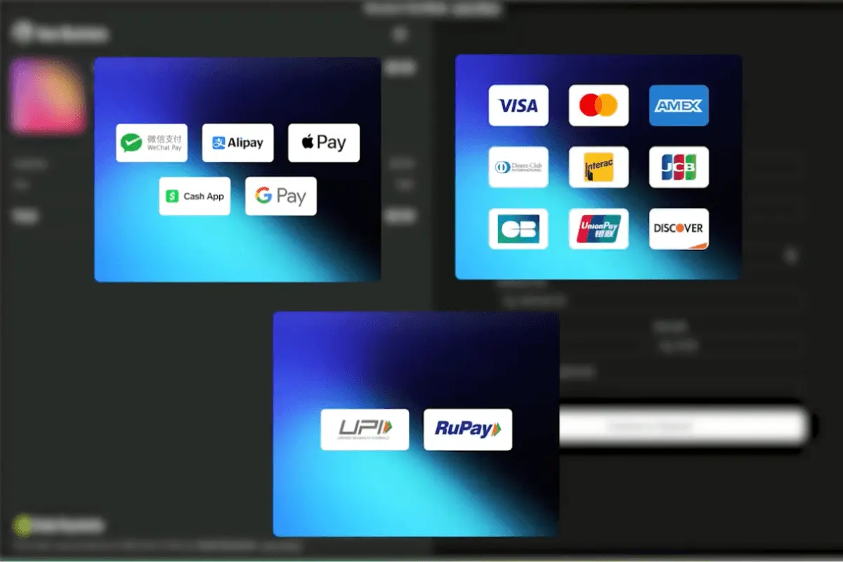 dodo payments payment options