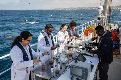 2027 Cheapest Accredited Online Marine Science Degree Programs That Accept FAFSA thumbnail
