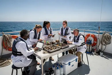 2026 Marine Science Degree Jobs That Do Not Require Licensure thumbnail