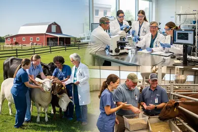 2026 Industries Hiring Graduates With an Animal Science Degree thumbnail