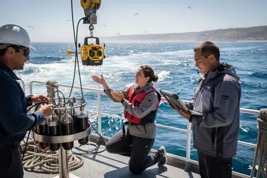 2026 Marine Science Degree Completion Time Report: How Long Students Actually Take to Graduate thumbnail