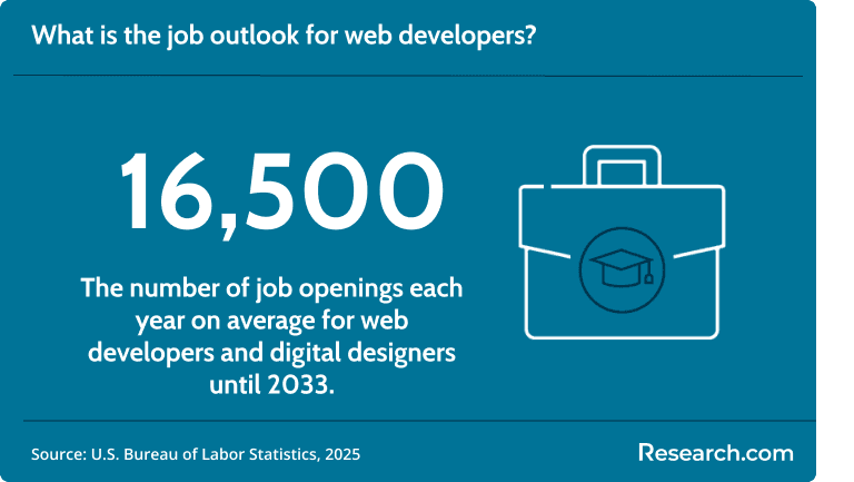 There are 16,500 job openings for web developers each year on average.