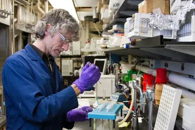 World Online Ranking of Best Environmental Scientists - 2026 Report thumbnail