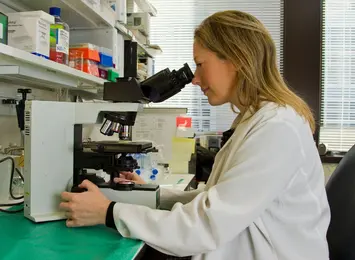 World Online Ranking of Best Microbiology Scientists - 2026 Report thumbnail