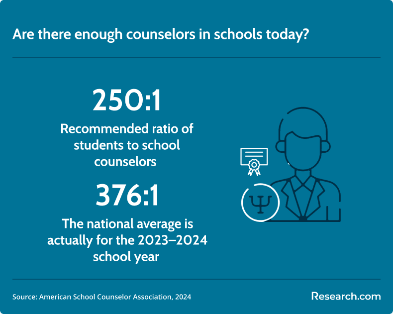 school counselors in the US