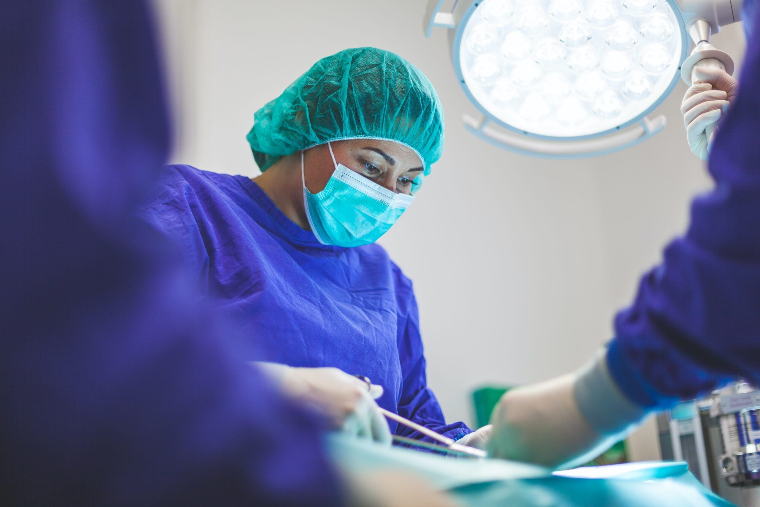 2026 Best Nurse Practitioner Programs in Florida – Accredited Schools Online & Campus