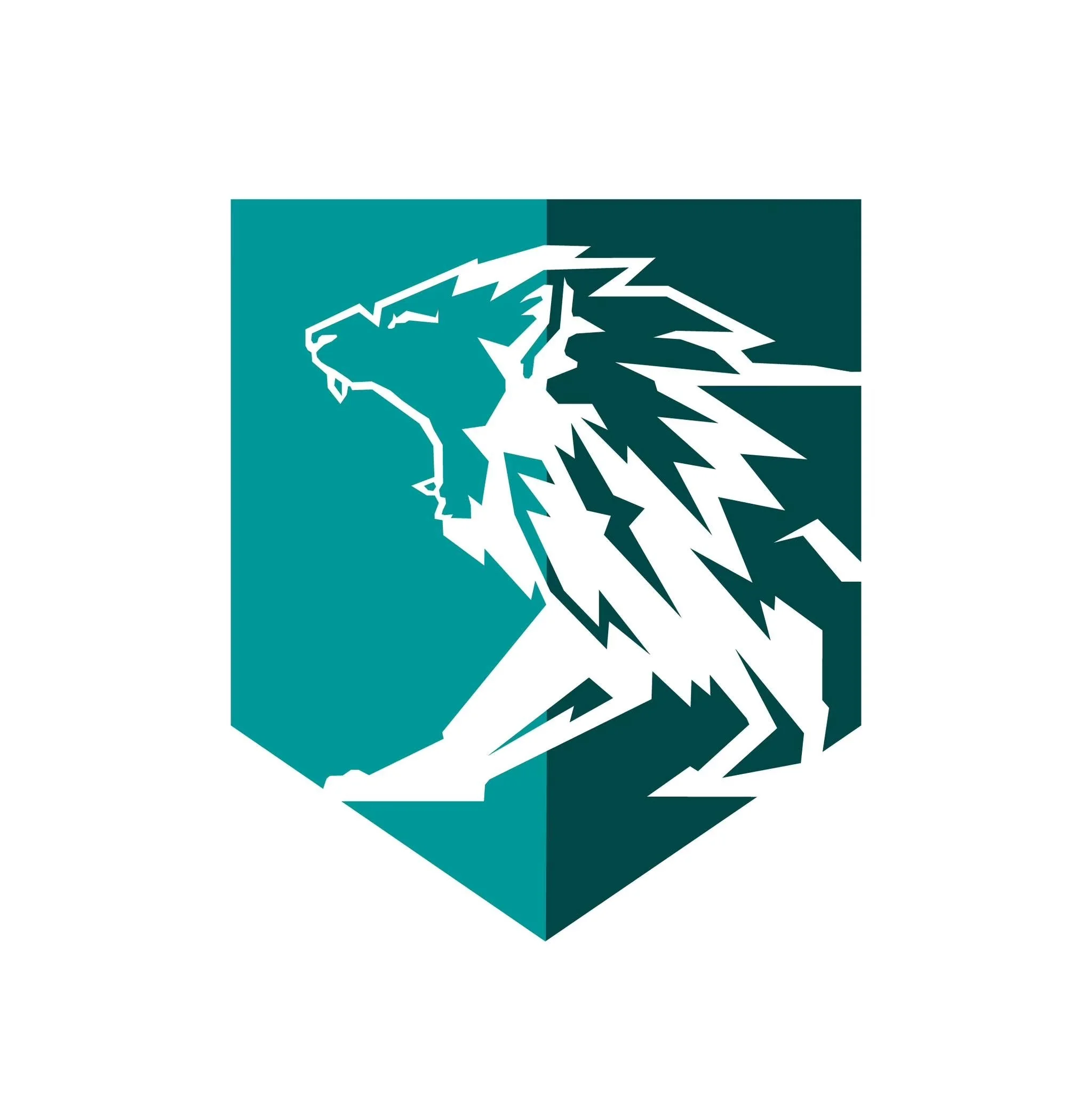 College logo