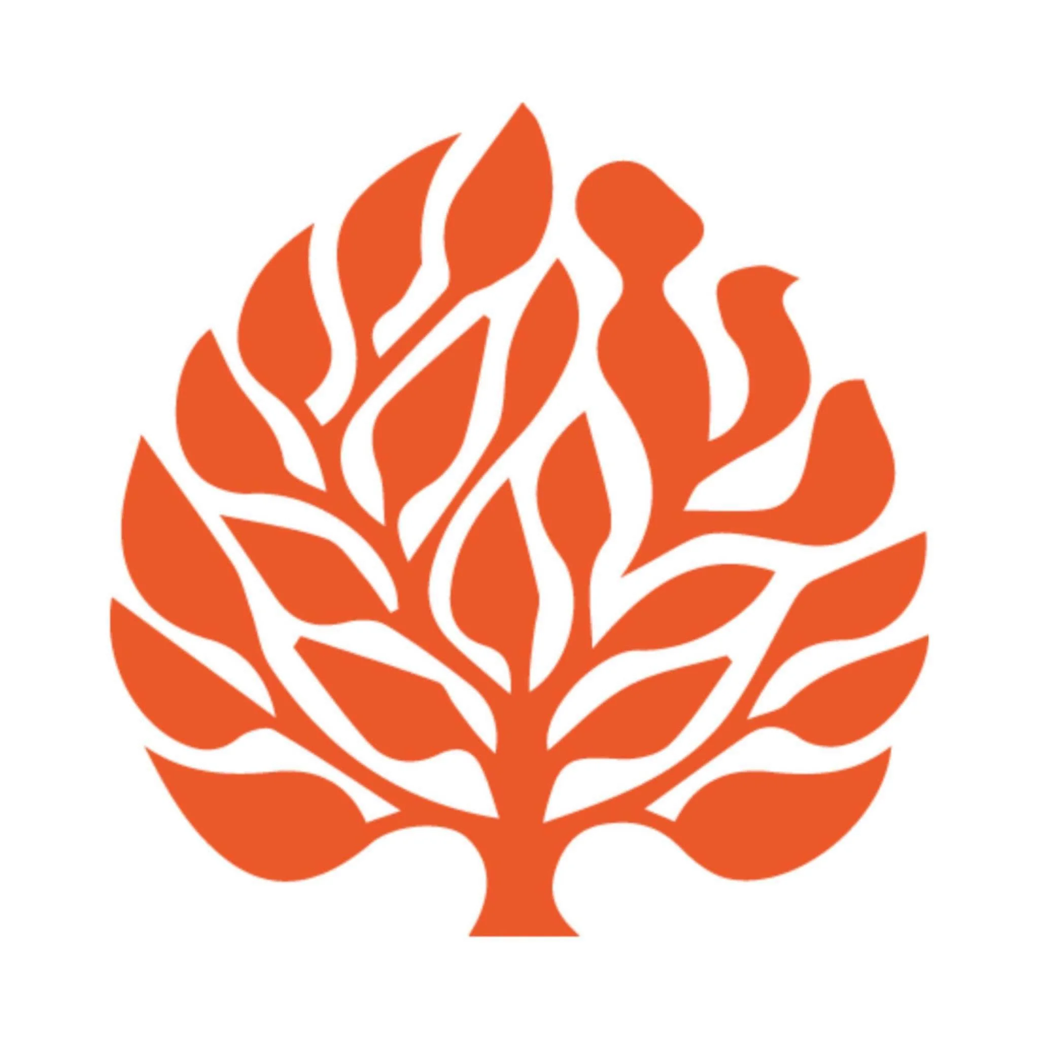 College logo